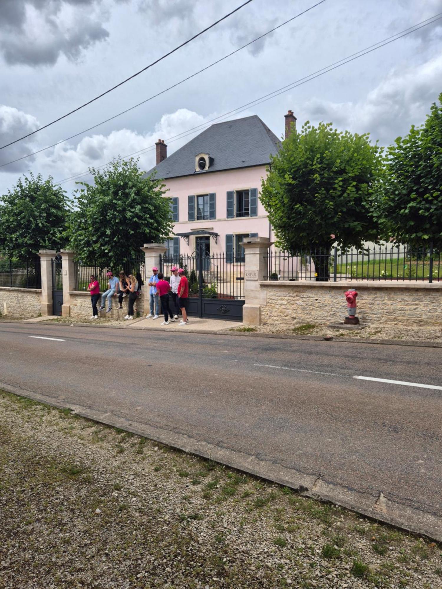 Villa Eulalie - Champagne Edouard Duval B&B Guest House Nestled In The Champagne Area Bligny Eksteriør billede